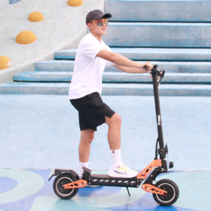 Freego C10 Pro Landtiger Dual-Motor Foldable Electric Scooter